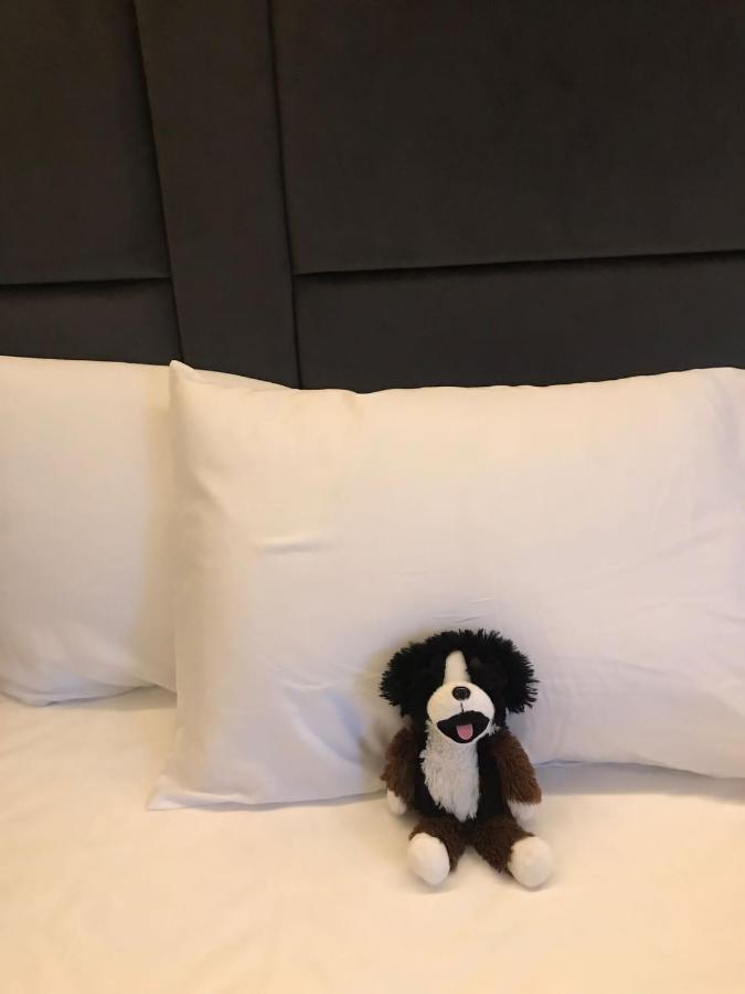 O&O Hotel Oberursel Zentrum المظهر الخارجي الصورة